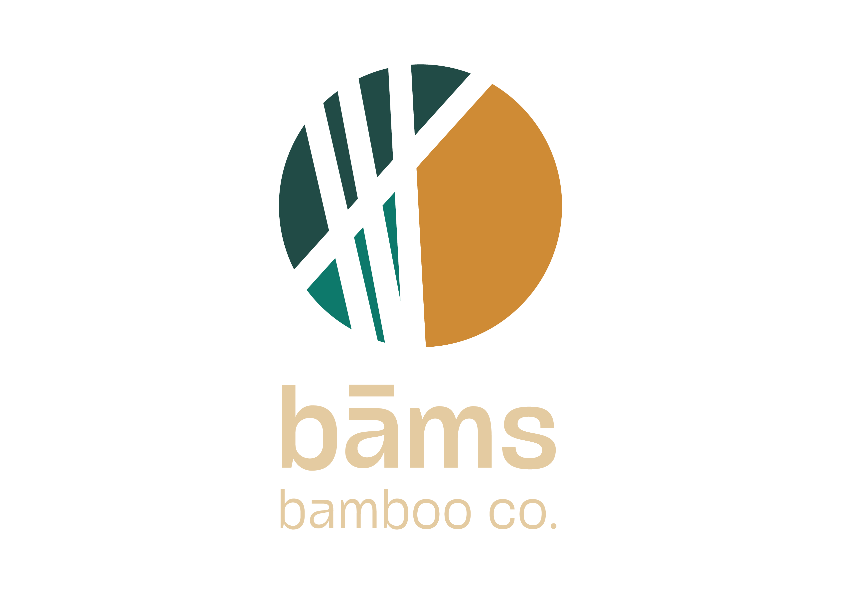 bāms bamboo co.