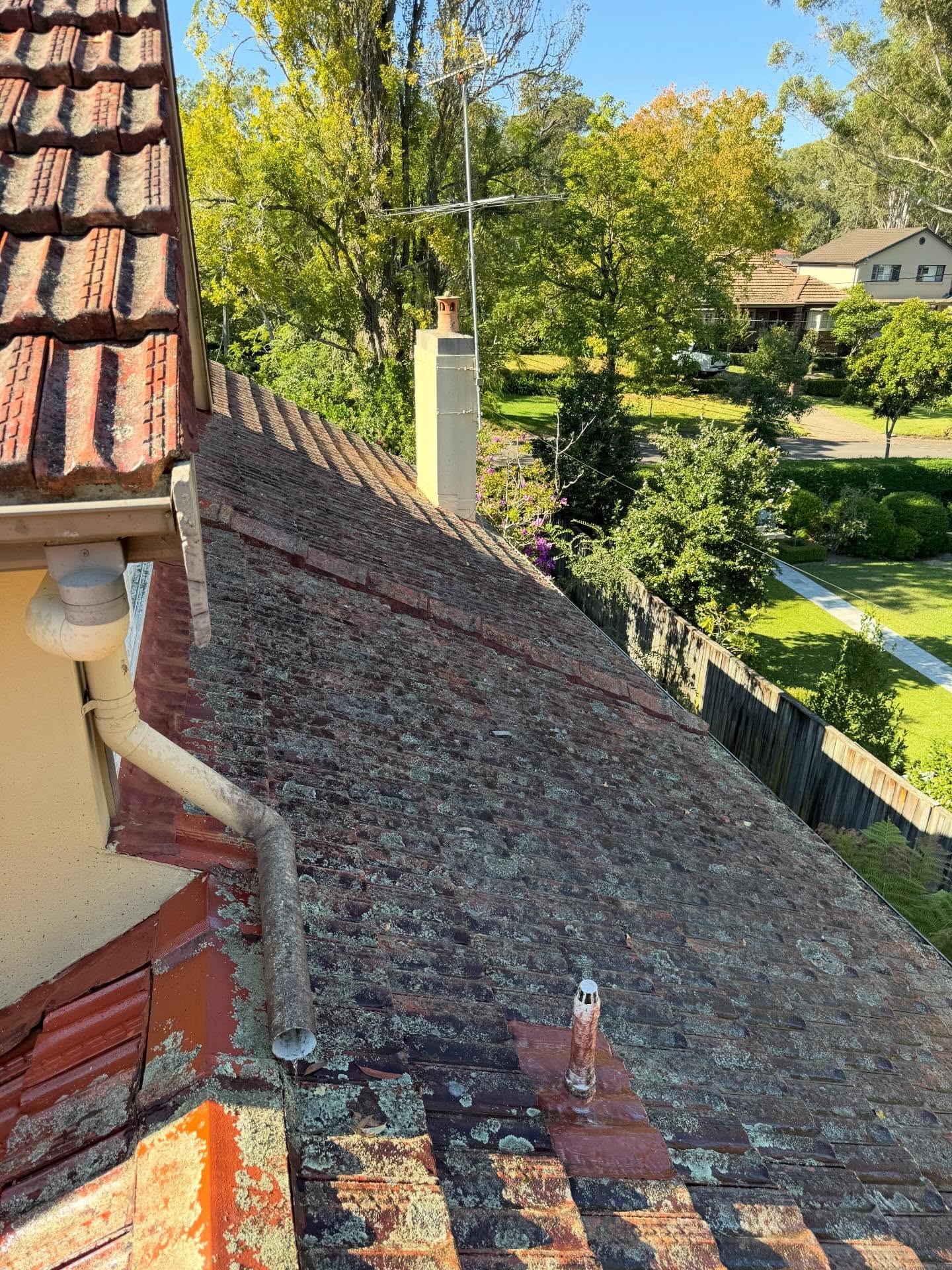 Roof Cleaning - Before