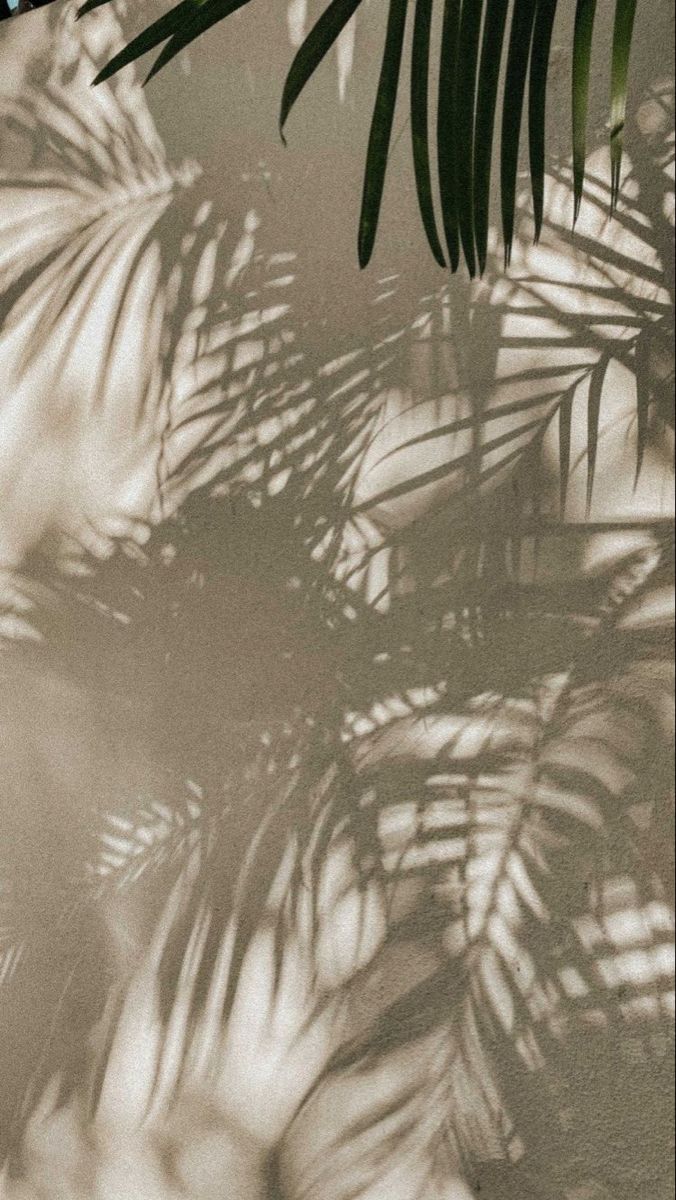 Palm shadows