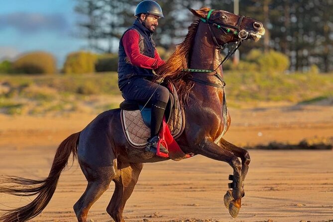 Beach Horseback Riding with Hotel Transfers