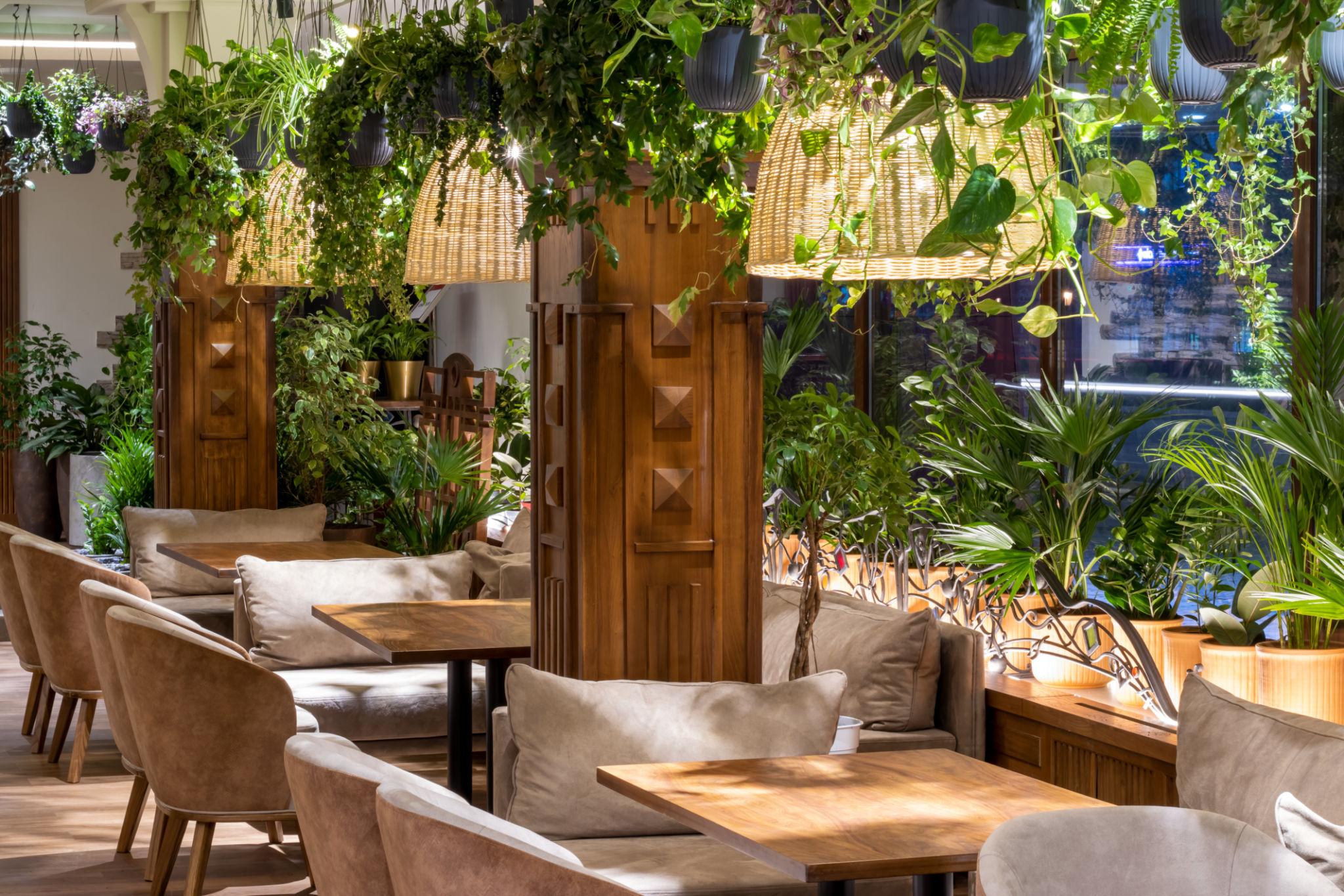 Cozy café interior with lush plants and warm wooden furniture
