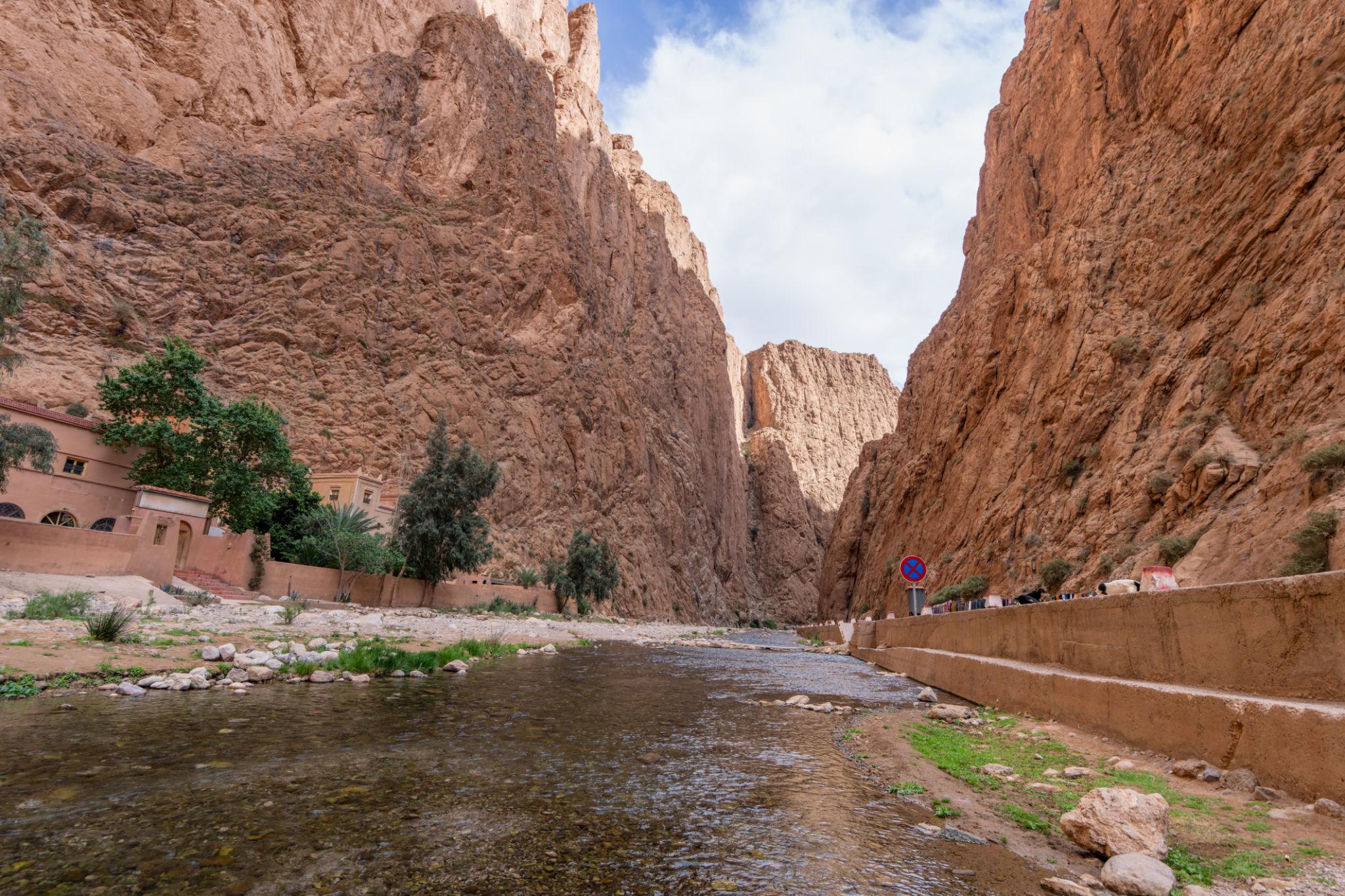 Todra Gorge canyon with a river and palms