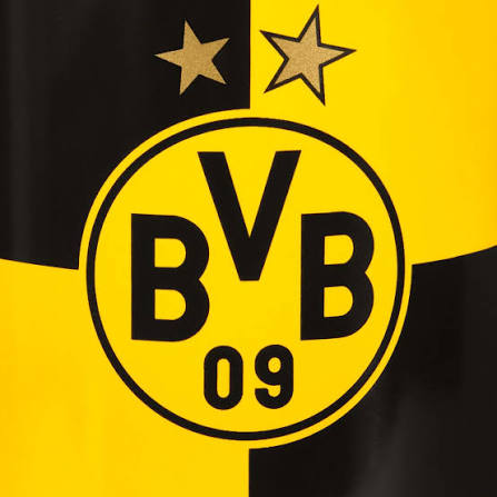 BVB Tischtennis (Borussia Dortmund)