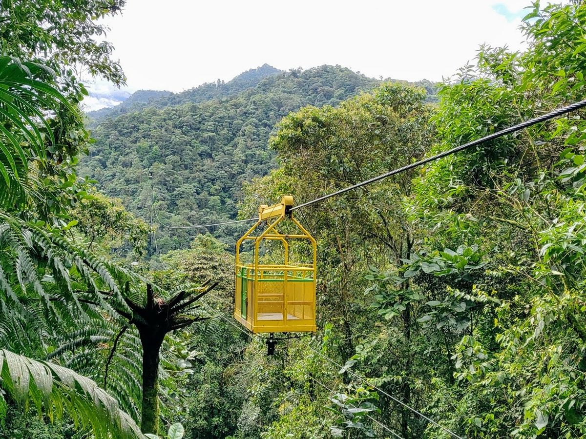 Mindo – Cloud Forest Tour
