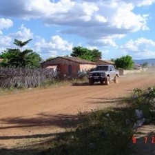 Altes Gehöft mit rotem Blütenbaum