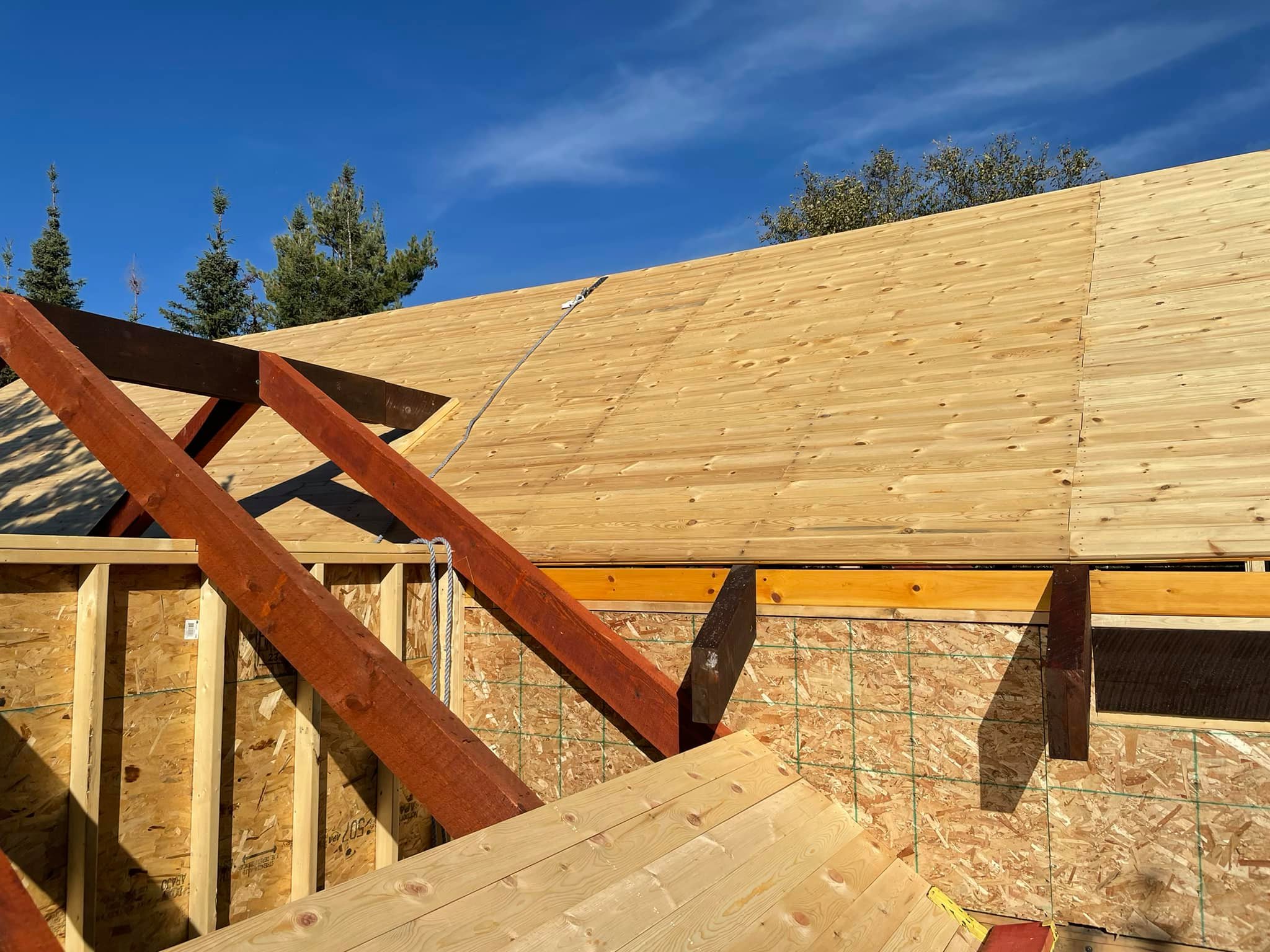 Cabin Roof Framing