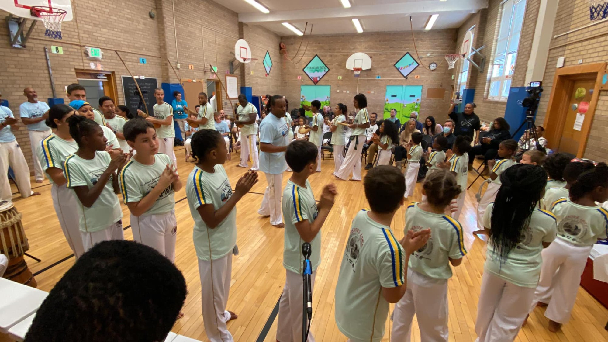 Capoeira roda