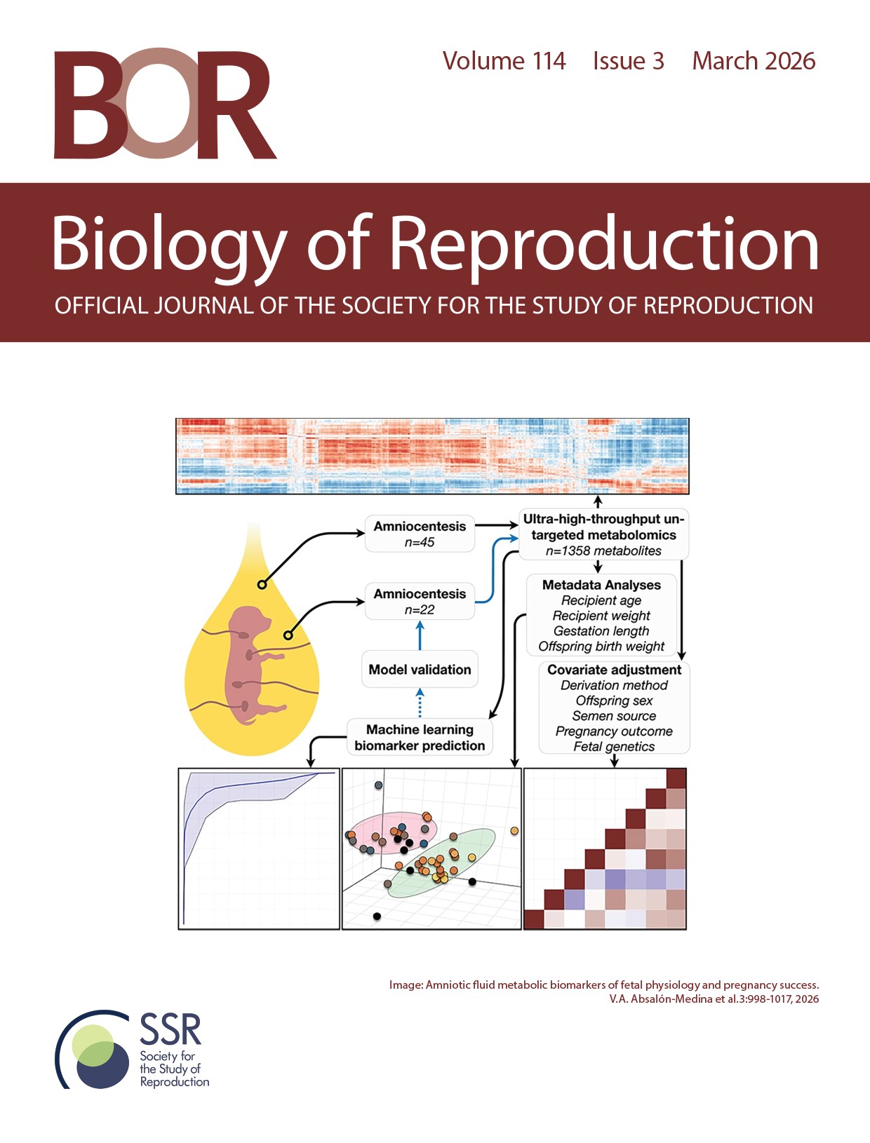 Biology of Reproduction March 2026 cover featuring amniotic fluid metabolic biomarkers