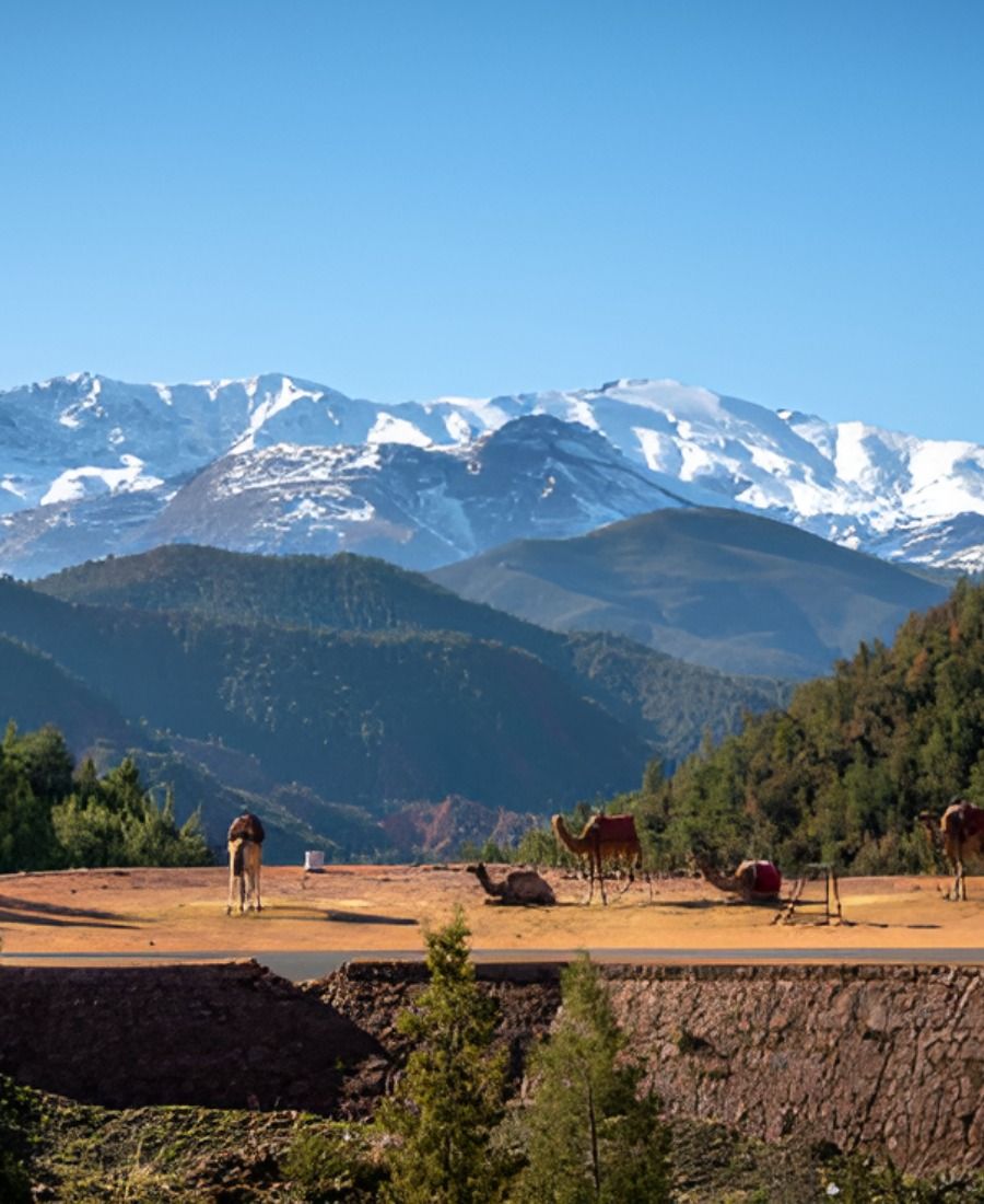 Snow-capped Mount Toubkal with camels resting at high altitude plateau