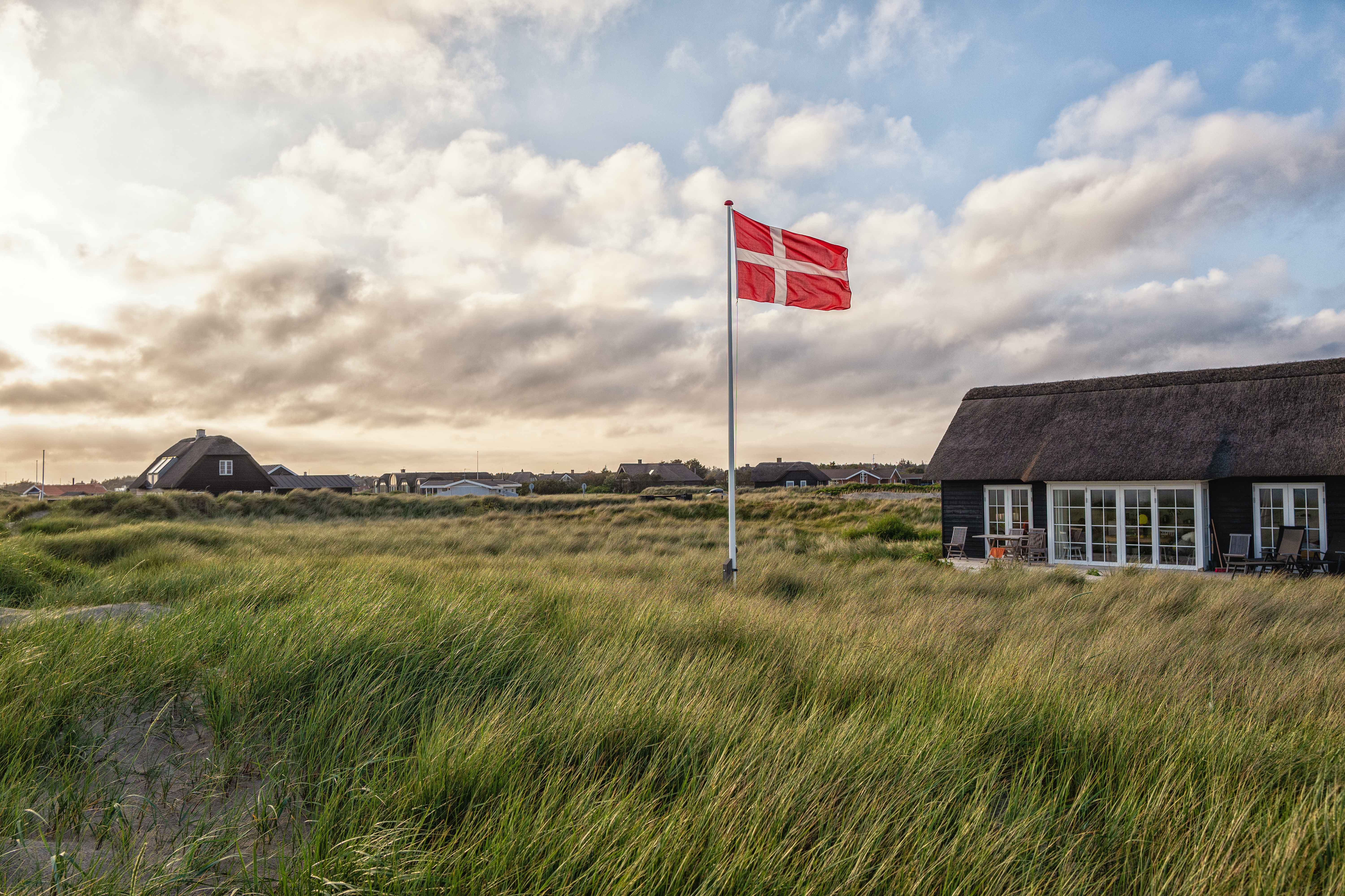 Dänische Flagge in grünem Feld mit Häusern