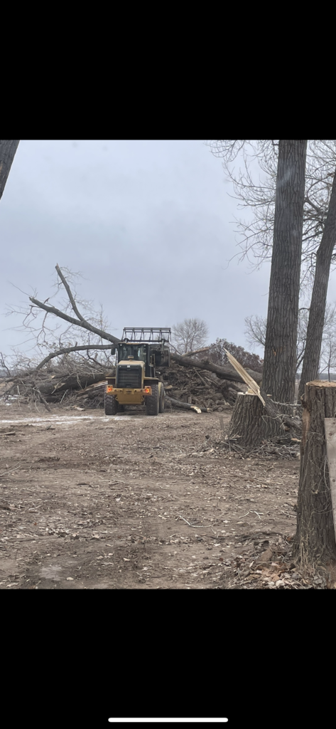 Forestry Management