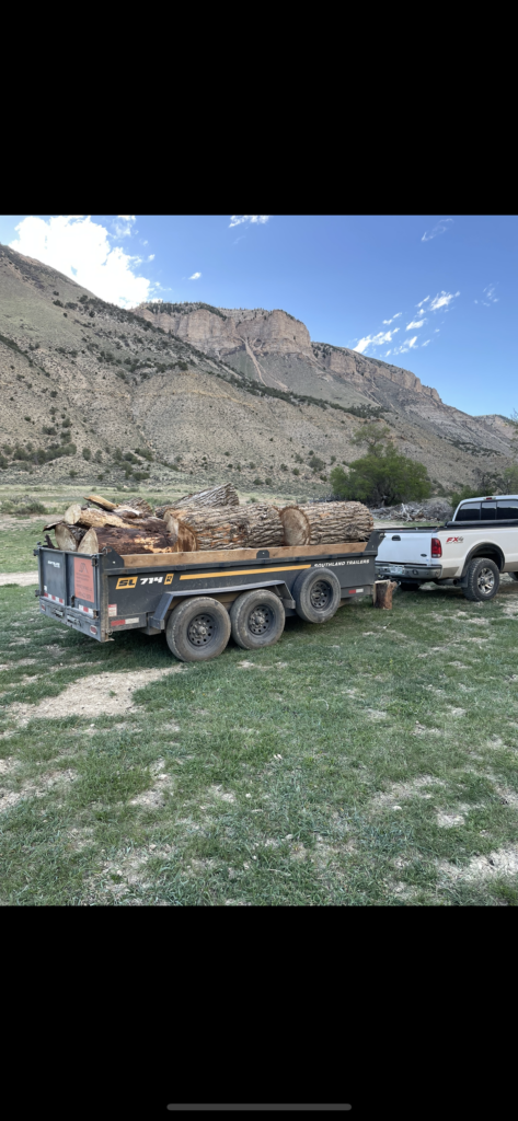 Trailer loaded with large cut logs with mountain backdrop