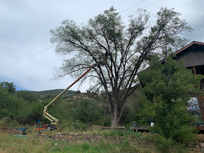 Emergency Storm Cleanup