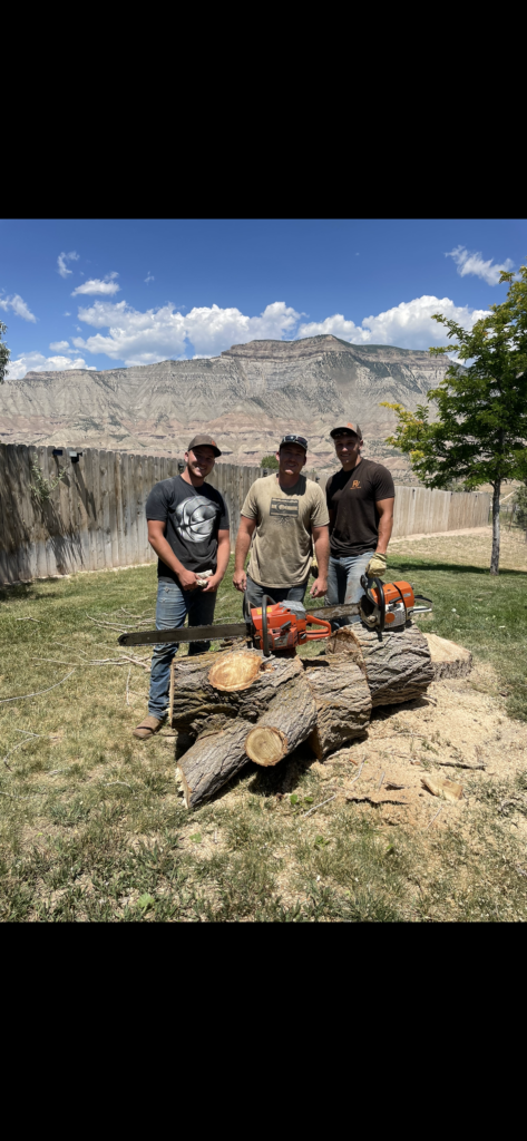 Dark Timber Tree and Forestry team