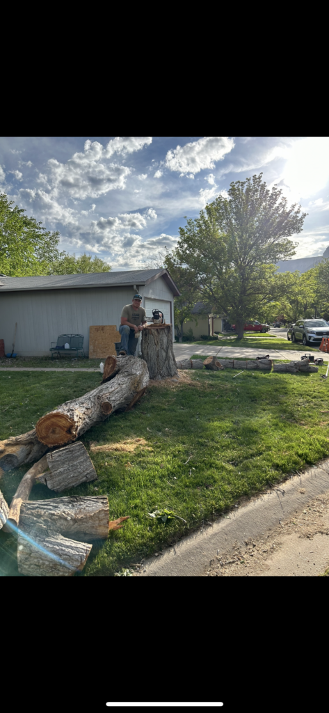 Stump Grinding