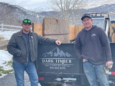 Dark Timber Tree and Forestry team with company sign