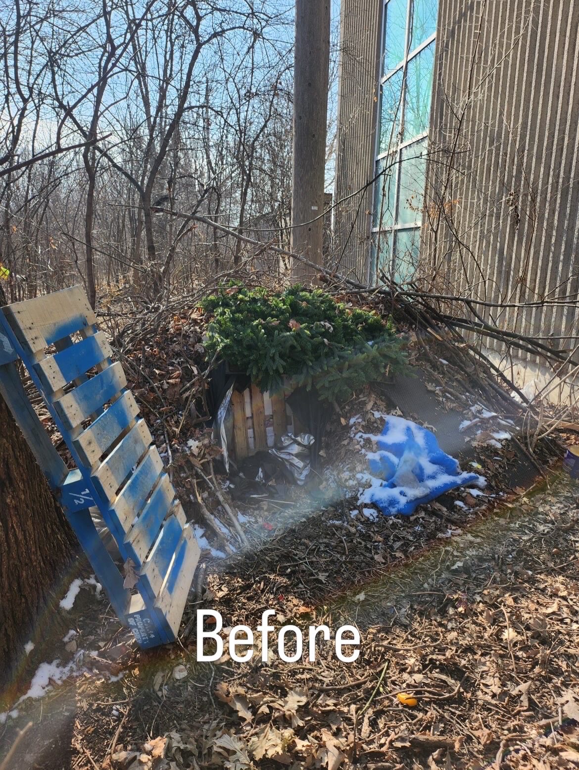 Property Cleanup before