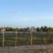 Flache Landschaft mit Gehöften in der Dämmerung