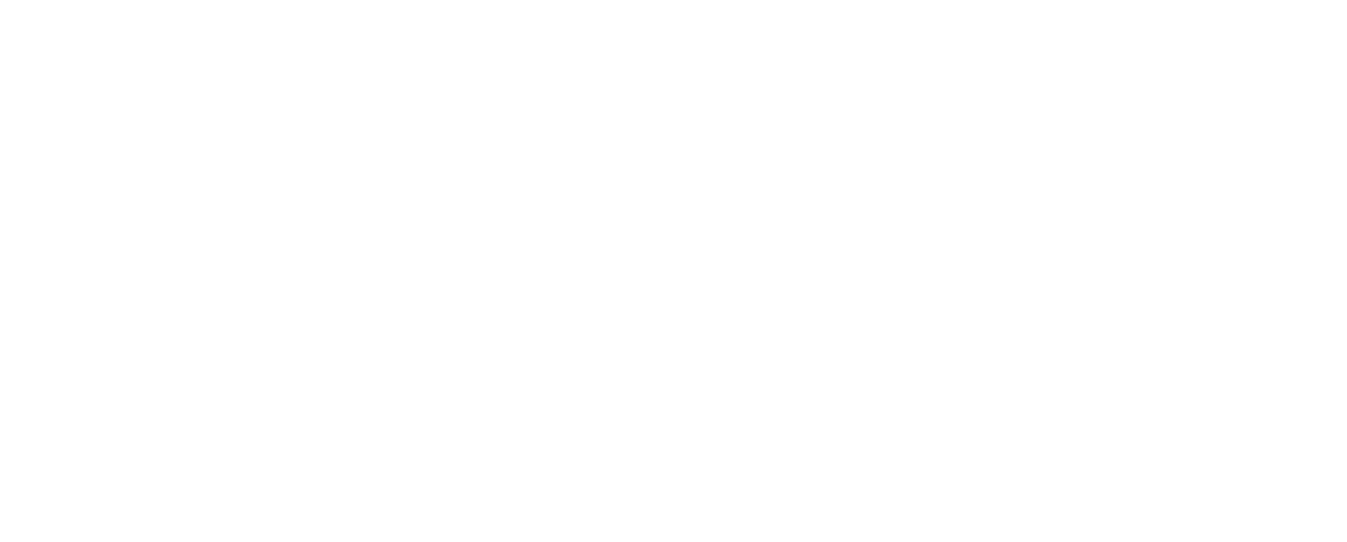 de%20smokkelaar%20logo%20wit-MoVY2SsZAkABacMCLjVAnO7RkaKI3F.png