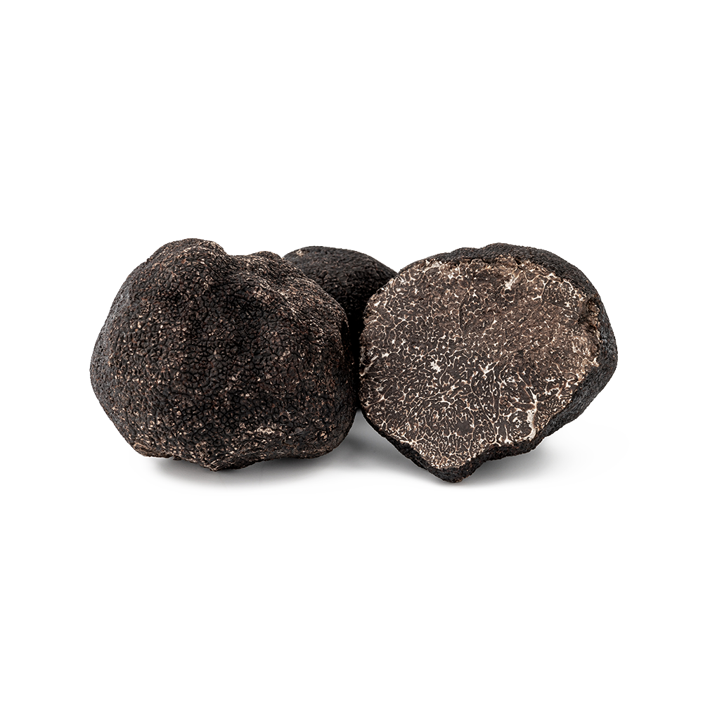 Tuber melanosporum - Trufa negra inteira e cortada mostrando interior marmorizado com veios brancos característicos