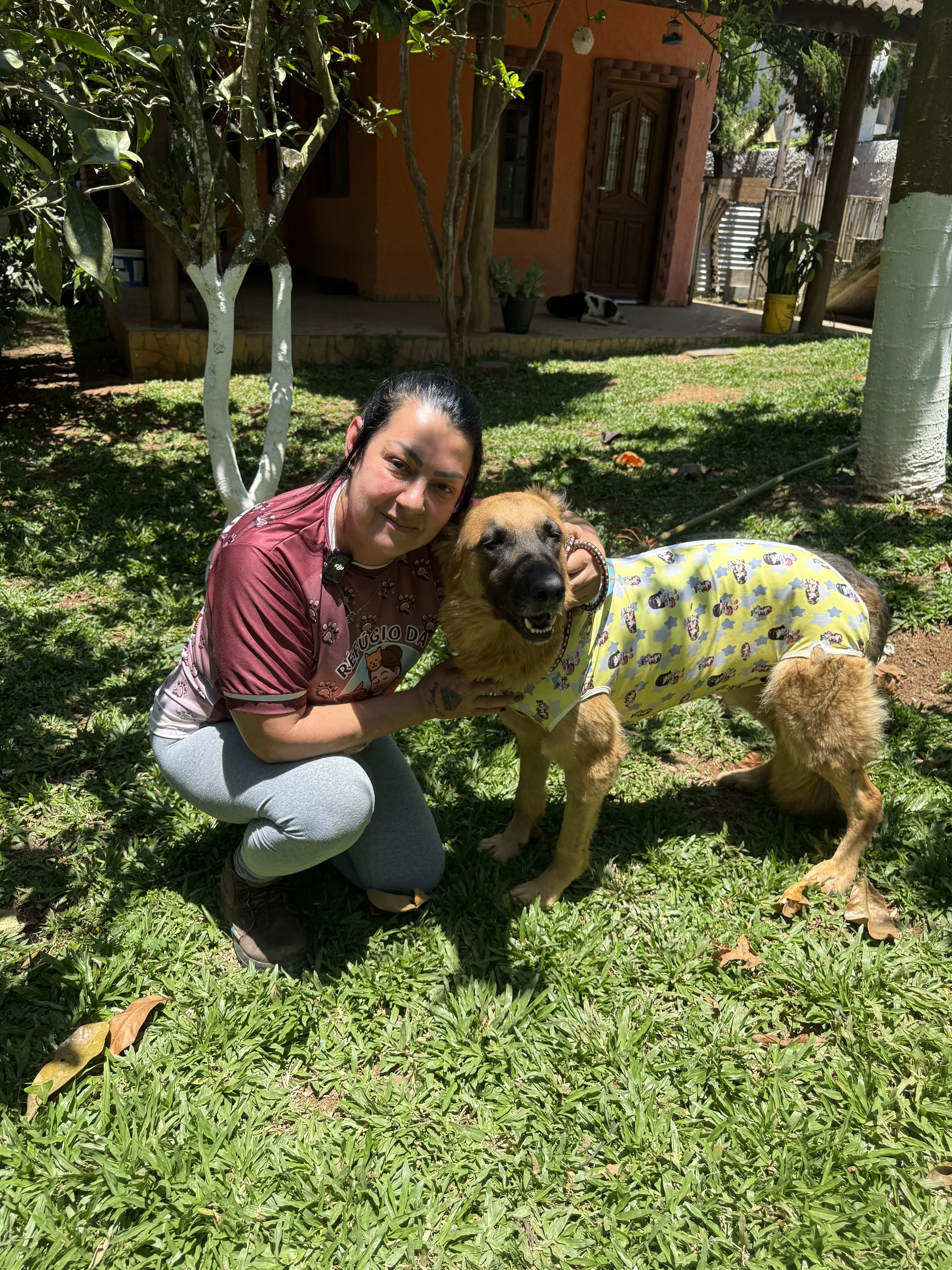 Caramelo depois da recuperacao