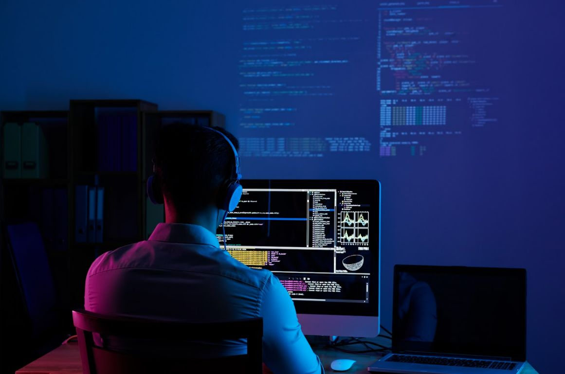 Desarrollo Web Profesional