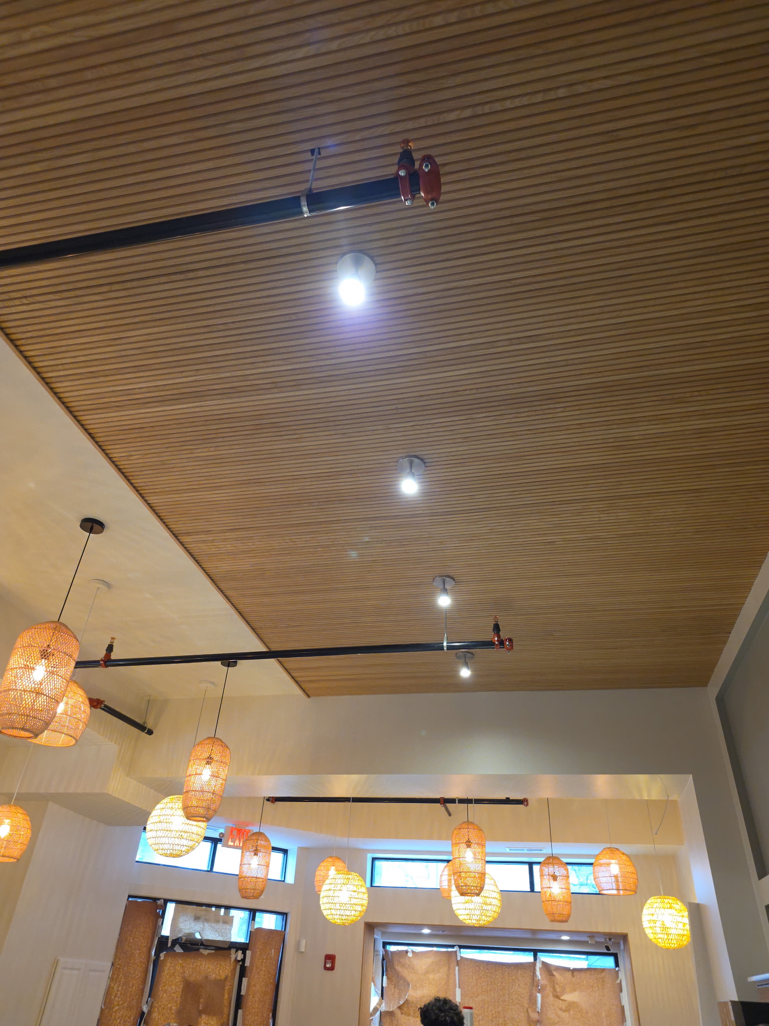 Pendant Lights and Track Lighting