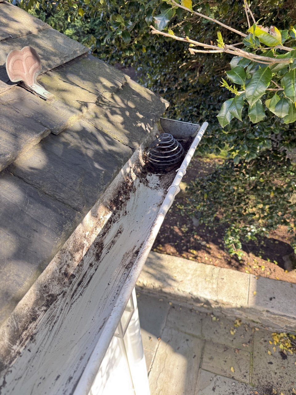 Heavy Stain & Sludge Removal