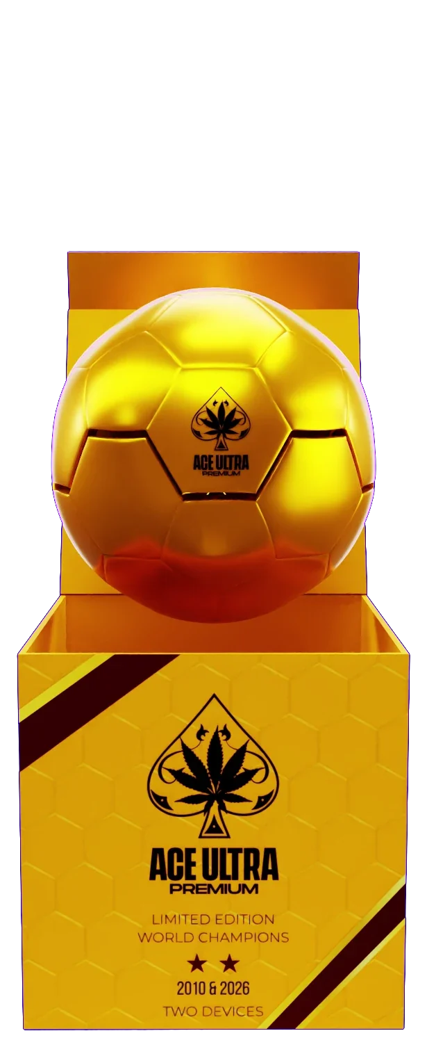 Gold World Champions collector box opened to reveal a soccer-ball-inspired trophy case