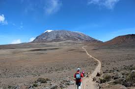 Hiker on the trail to Mount Kilimanjaro
