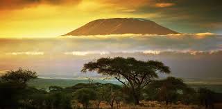 Mount Kilimanjaro rising above the savanna at sunset