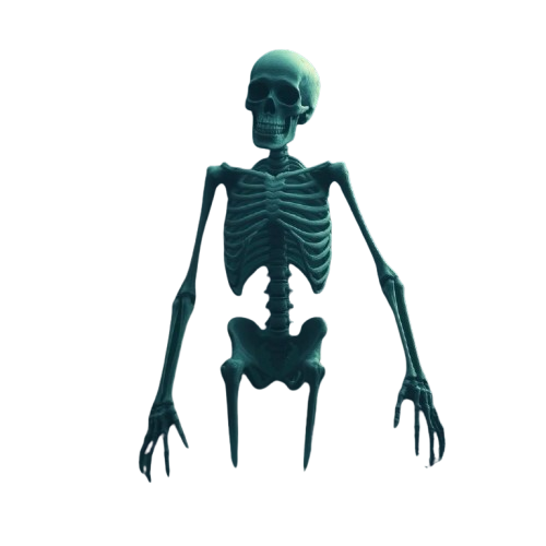 Glowing Skeleton