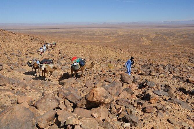 Zagora Desert 2-Day Tour - 2