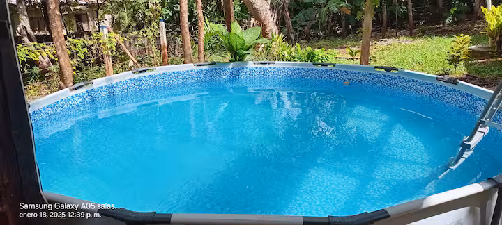 Vista amplia del agua turquesa de la piscina con árboles al fondo