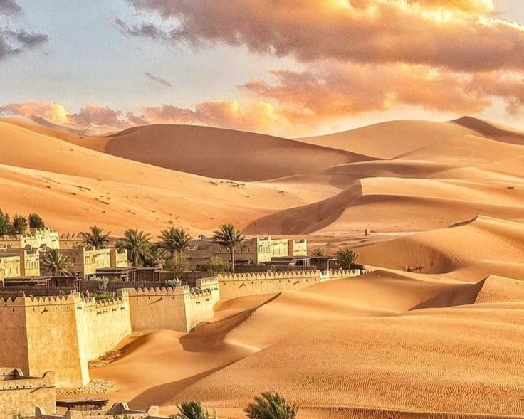 Experiencia Desierto Abu Dhabi - Image 2