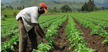 Agriculture Investing