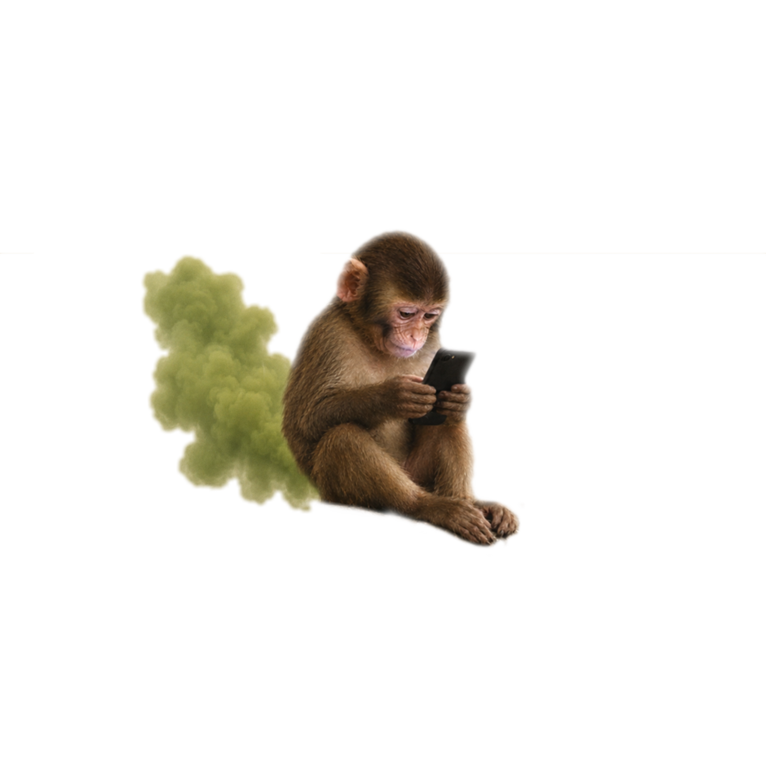 Monkey looking at a phone in a cloud of green smoke