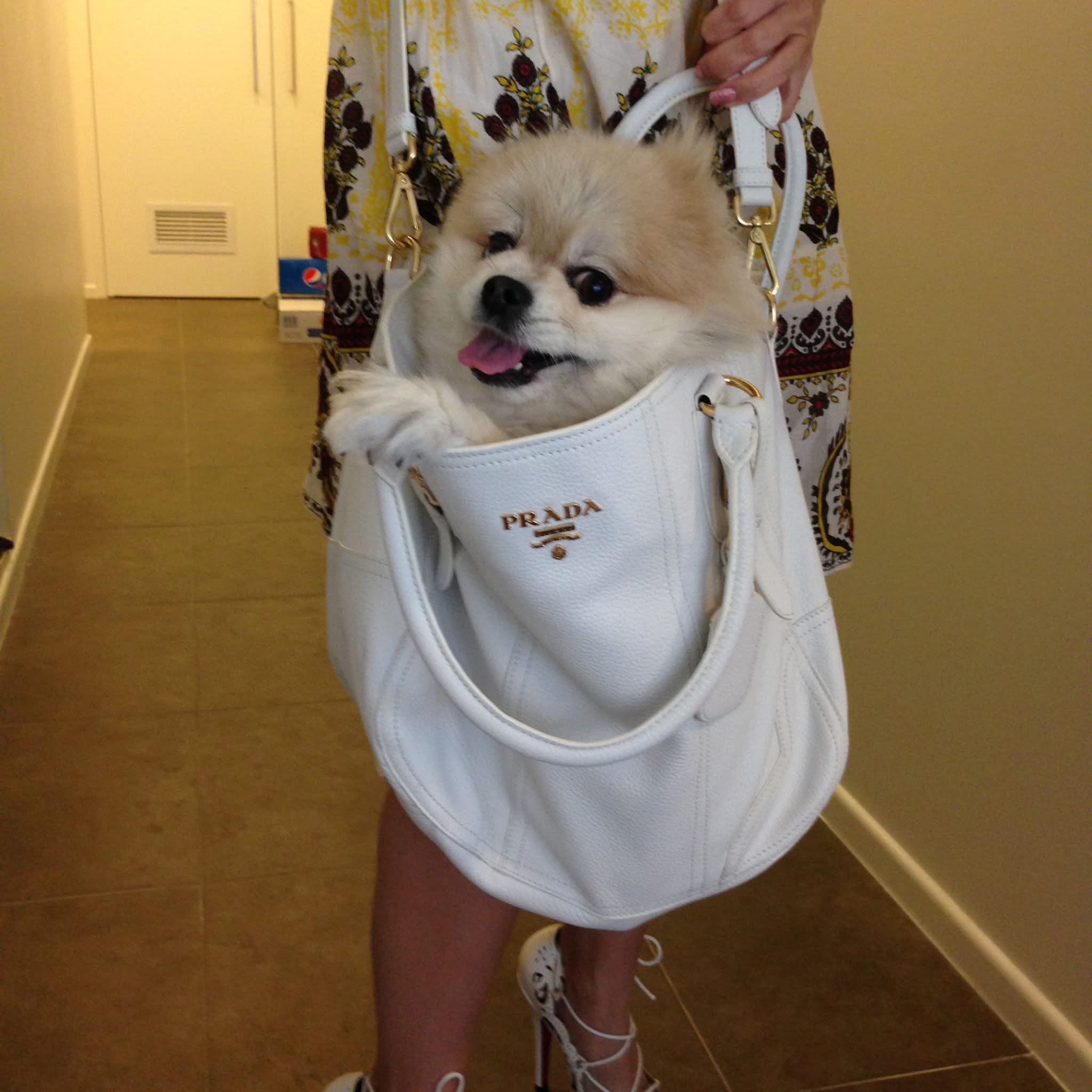 Cashy in a Prada bag - Her ride or die in her Birkin