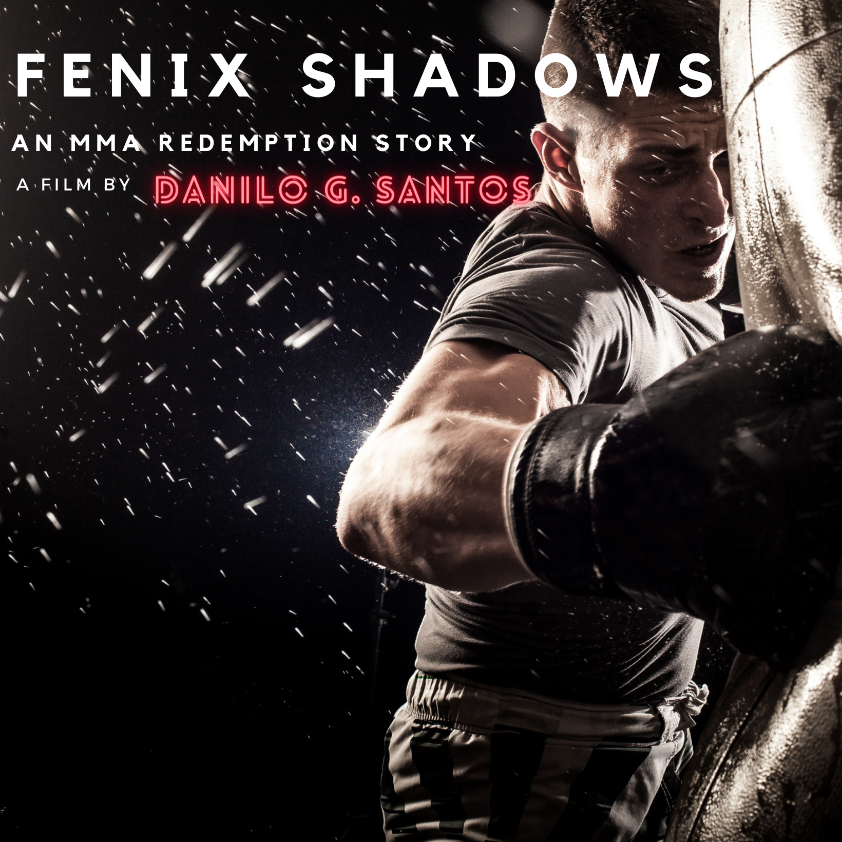 Fenix Shadows — alternate square poster art, fighter striking a heavy bag