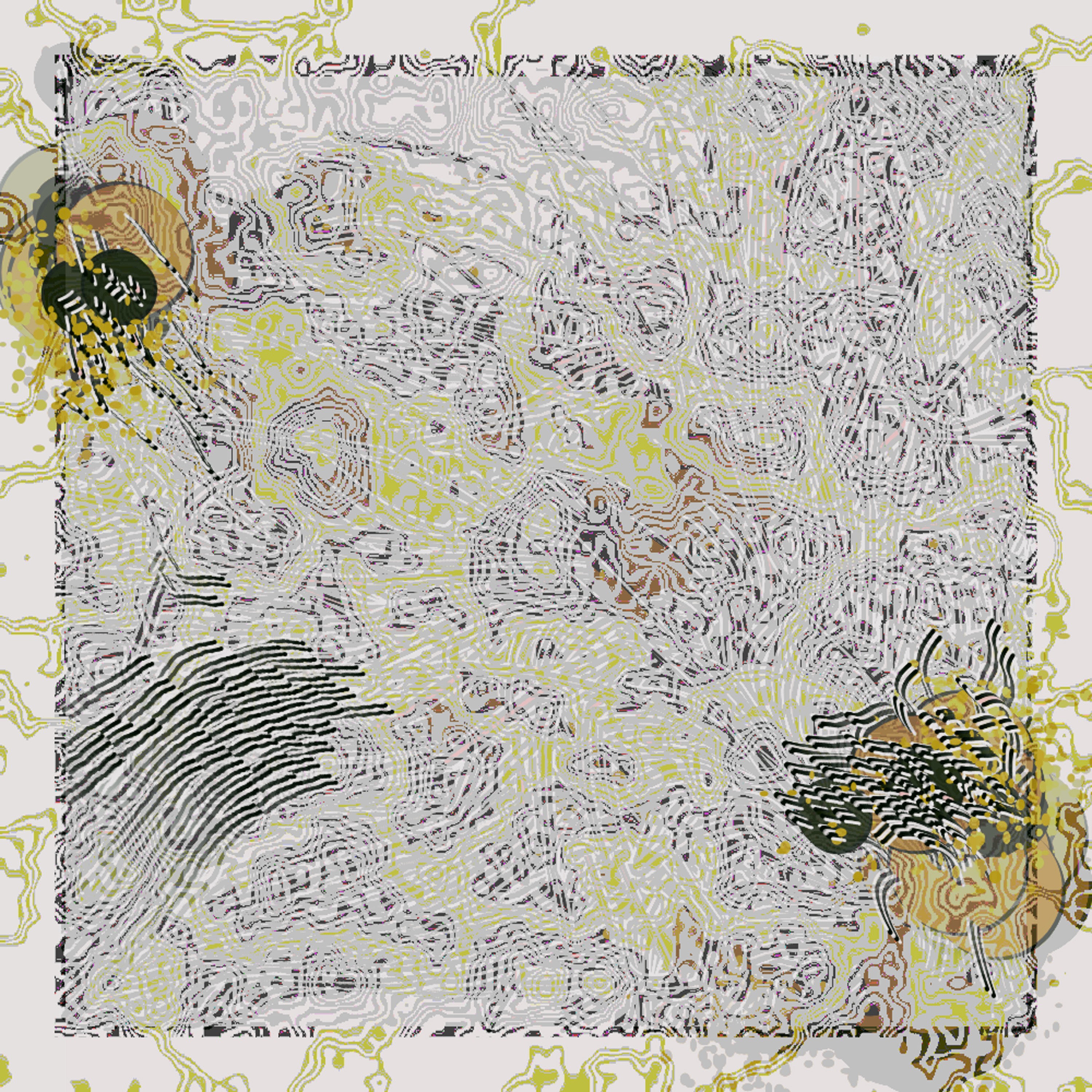 Abstract topographic patterns showing two circular agent forms navigating through complex line structures