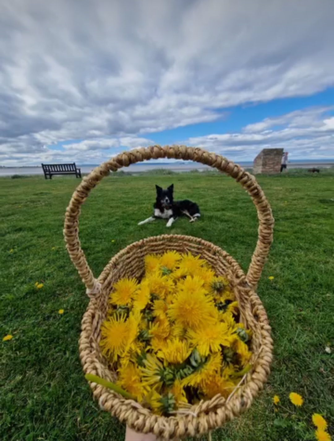 Karen and Joey with flowers in basket