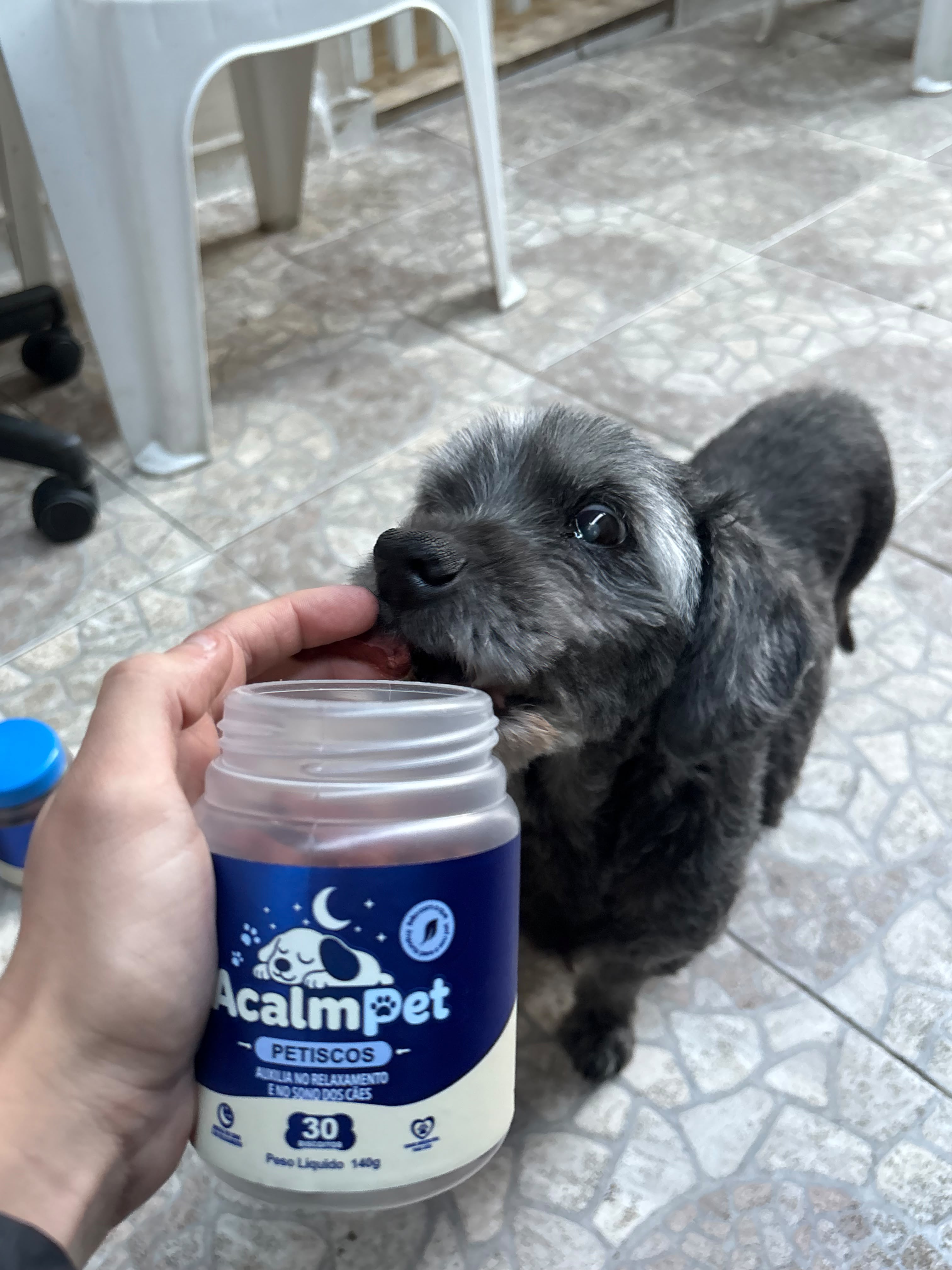 Cãozinho recebendo um petisco AcalmPet da mão do tutor