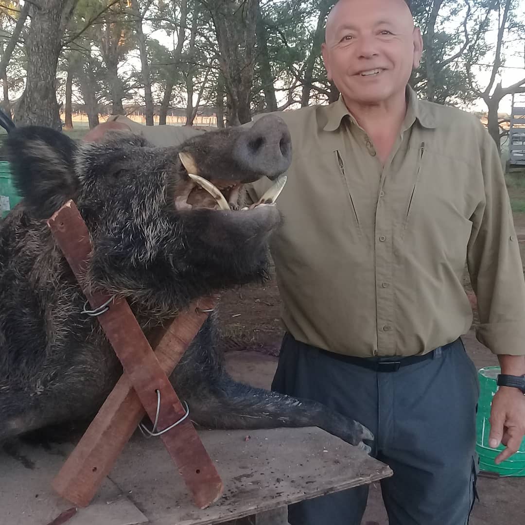 Wild hog hunting success at Valle Daza showcasing trophy size