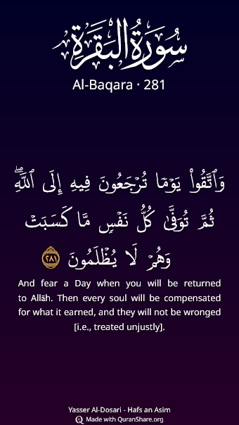 Al-Baqarah Quran video preview