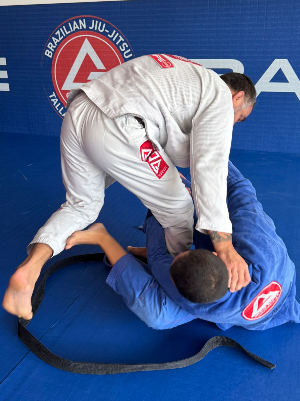 Jiu-Jitsu Techniques