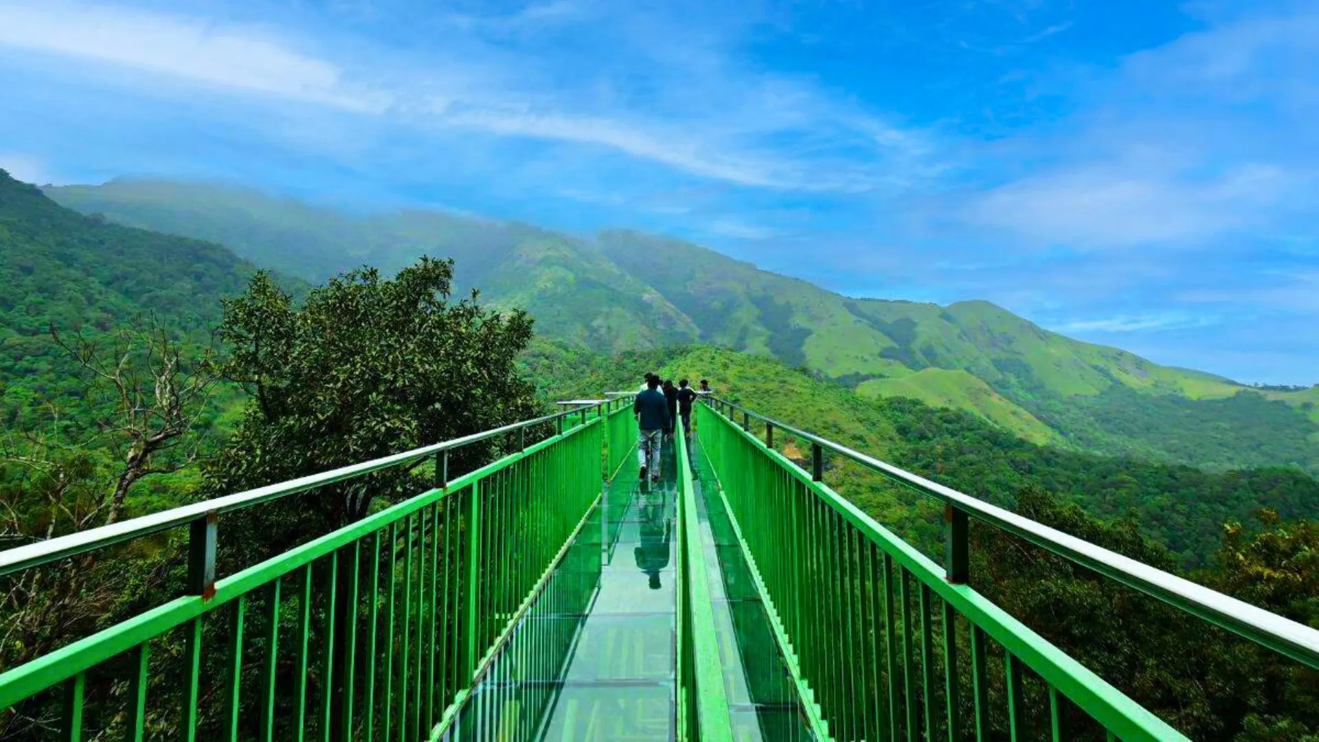 Wayanad - Forests & caves