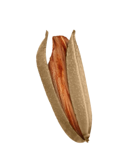 Grain 2