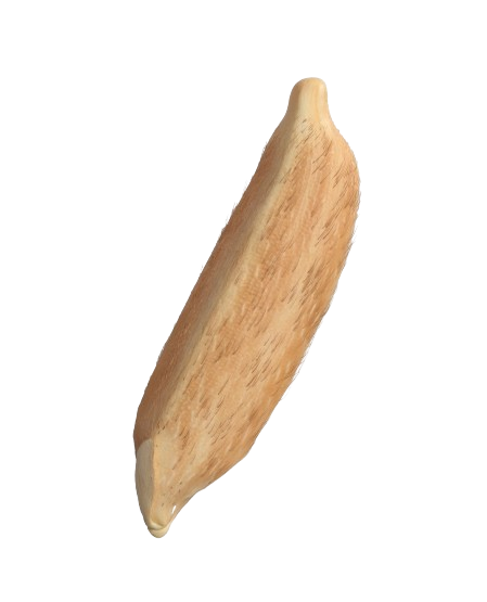 Grain 1