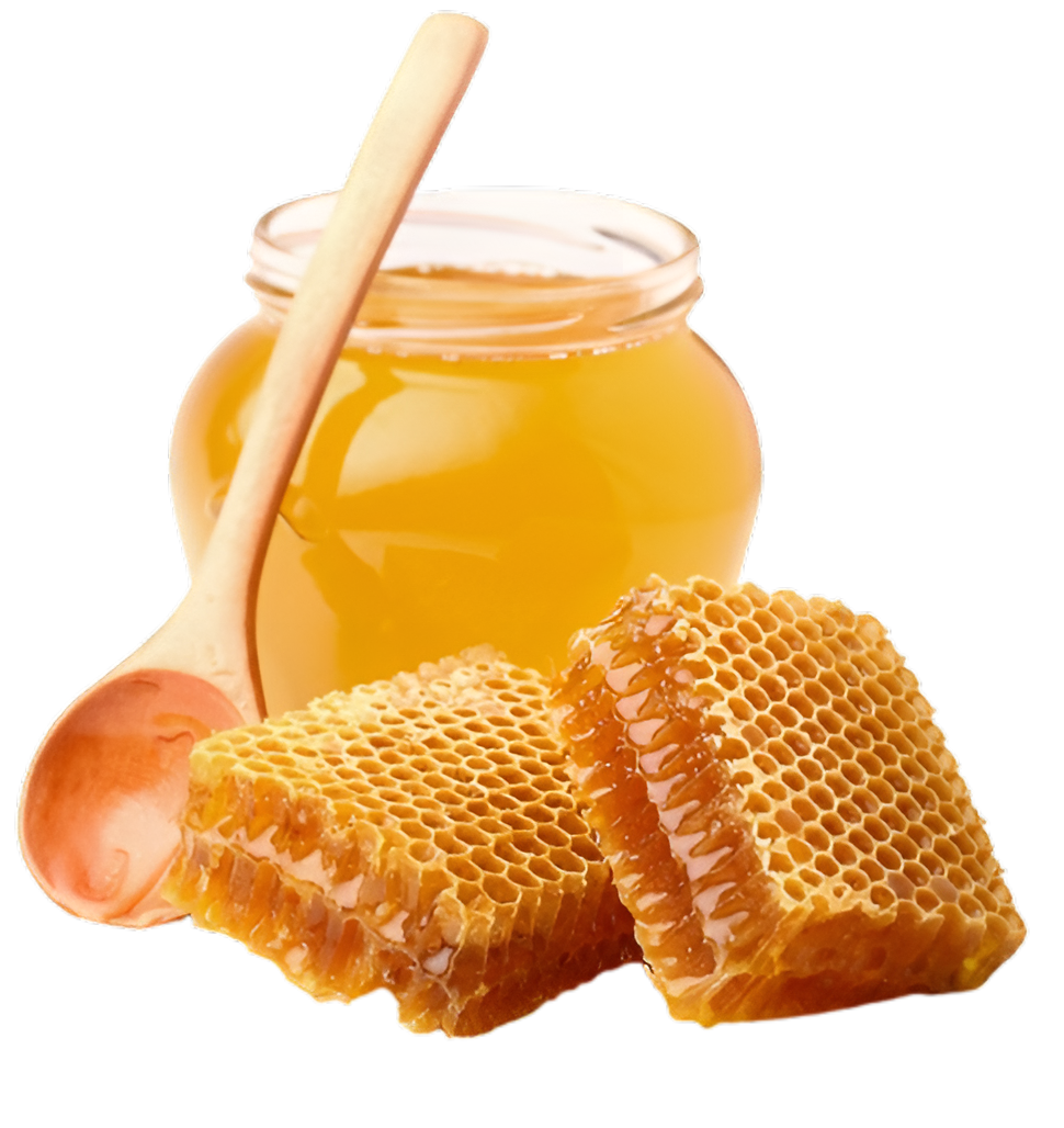 Fresh honey jar with honeycomb