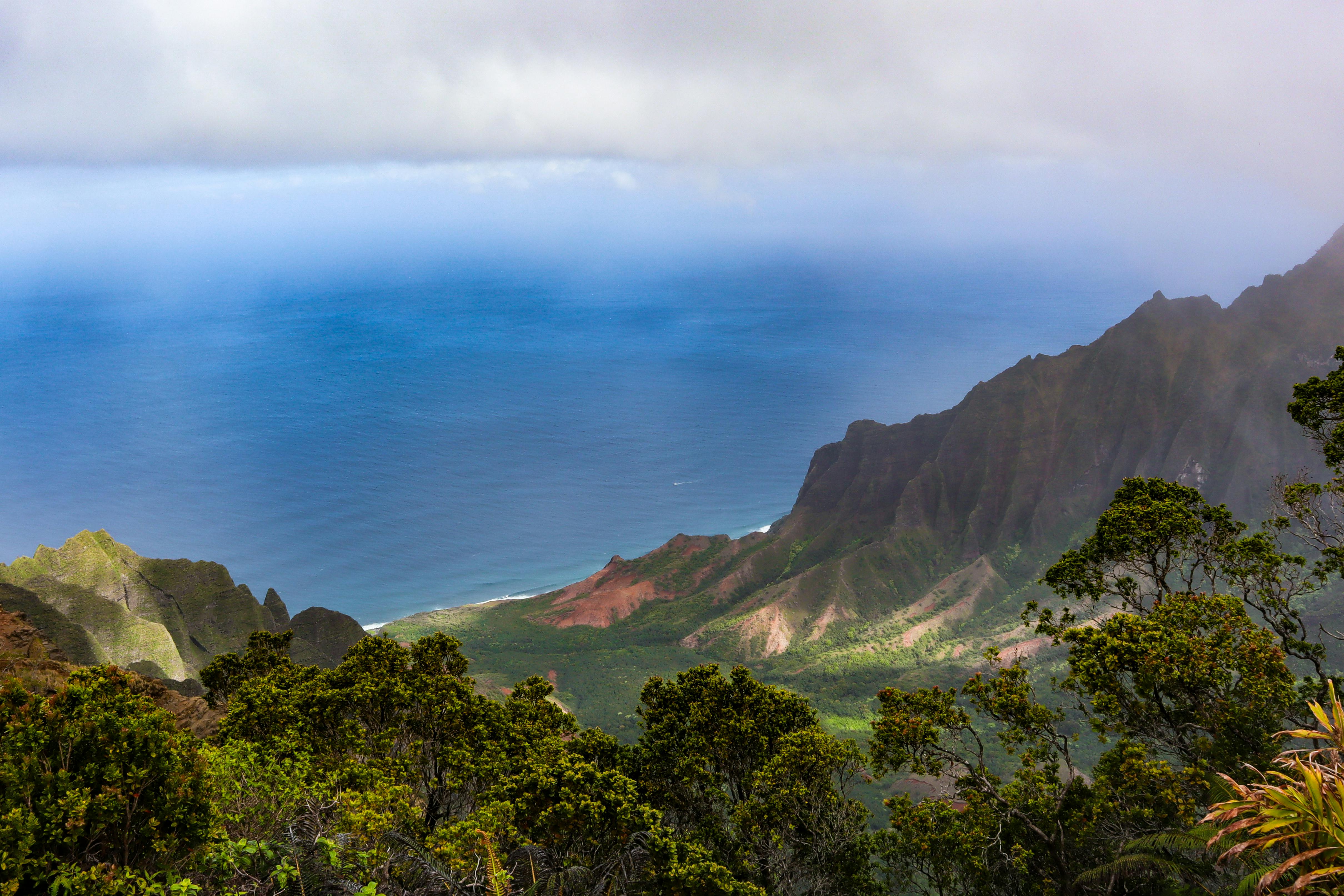 Breathtaking view of Hawaii's Na Pali Coast with dramatic cliffs and lush vegetation overlooking the Pacific Ocean